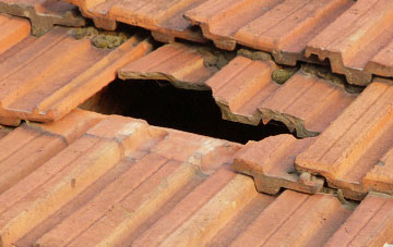 roof repair Carronshore, Falkirk